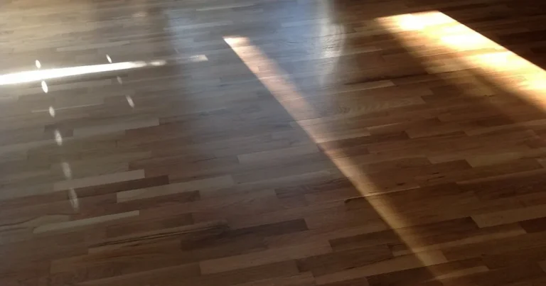 Sunlit wood-look plank floor in an empty room