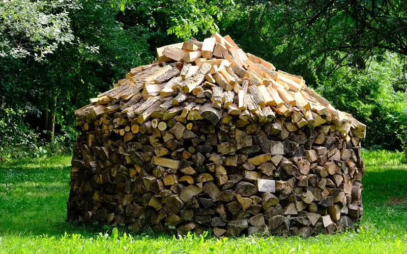 Split firewood stacked outdoors to season Split firewood stacked outdoors to season
