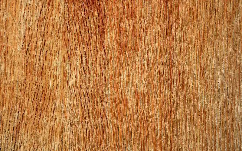 Plywood face veneer showing visible wood grain