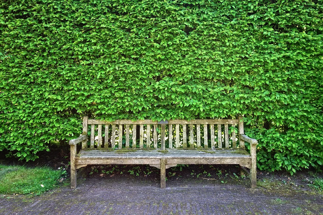 Weathered wooden outdoor bench built from pressure treated lumber against a green hedge