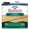Thompsons WaterSeal clear wood sealer jug