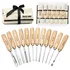 HURRICANE 12-Piece Starter Carving Tool Set
