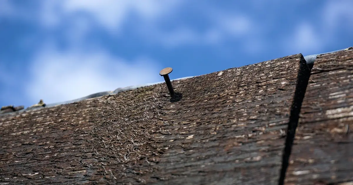 Rusty nail protruding from a weathered wood board before removal