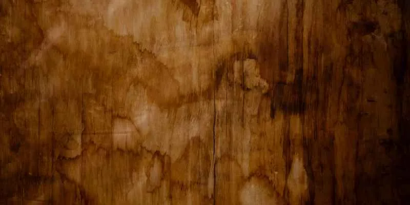 Stained plywood surface with a protective topcoat applied