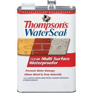 Thompsons WaterSeal Multi-Surface Waterproofer clear 1 gallon can