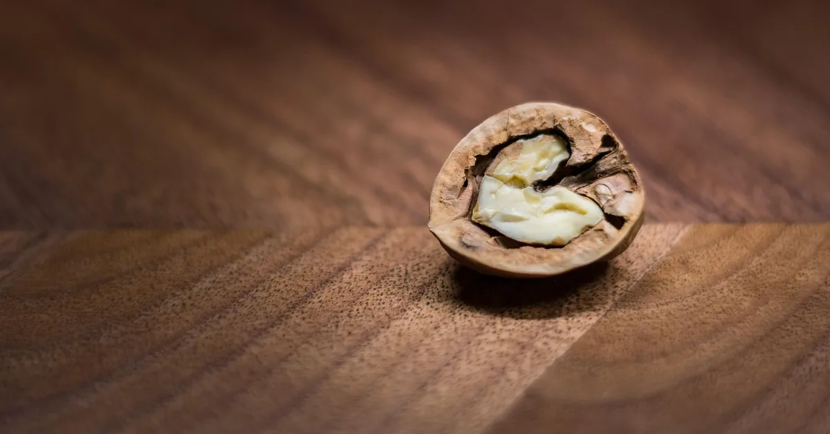Cracked walnut shell resting on polished walnut wood grain