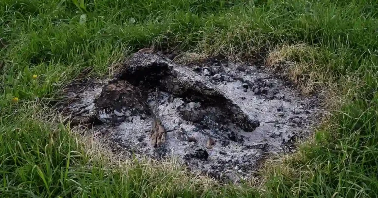 wood ash cooling in an outdoor fire pit before use as a soil amendment