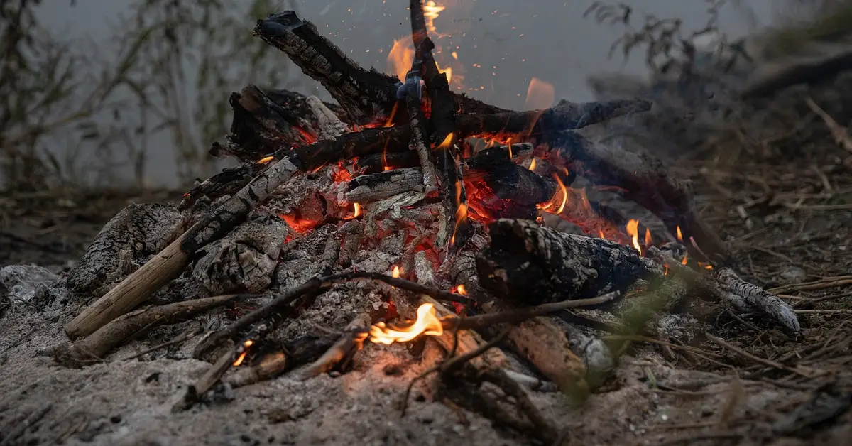 Smoldering wood ash and embers from a campfire, the raw material behind garden and cleaning uses