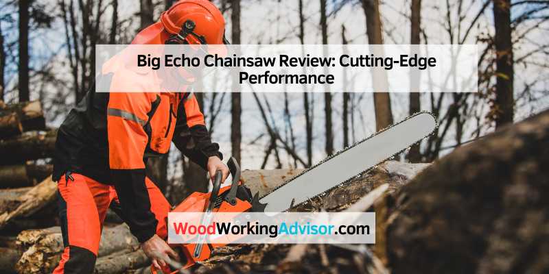 Big Echo Chainsaw Review