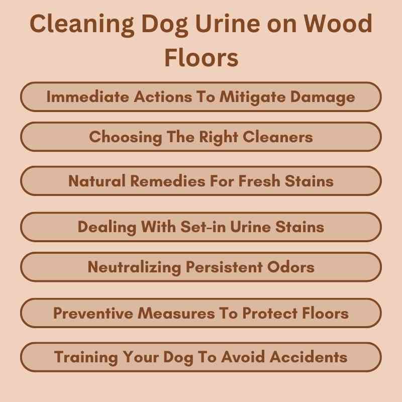 Cleaning Dog Urine on Wood Floors