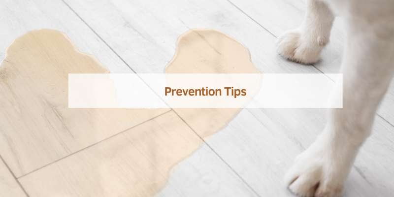 Prevention Tips
