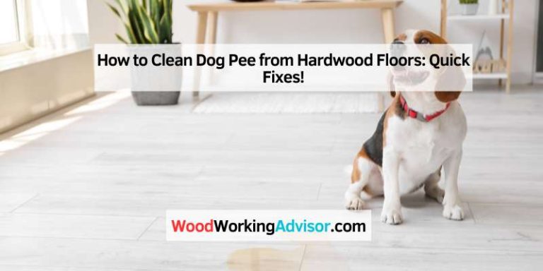 How to Clean Dog Pee from Hardwood Floors