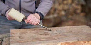 How to Identify Walnut Wood