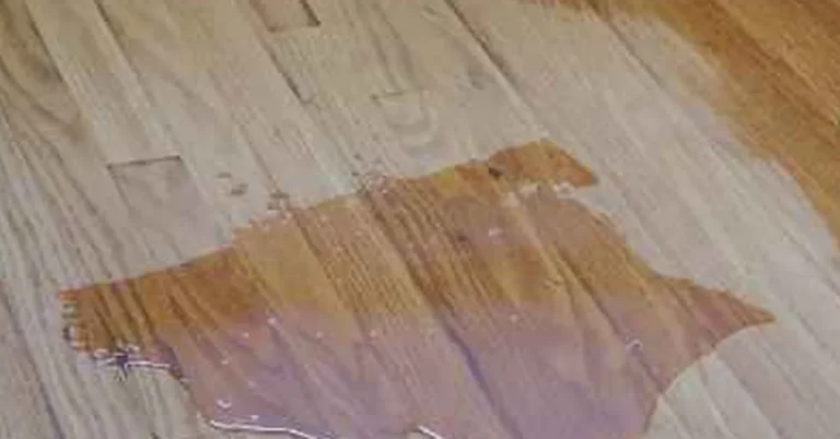 small pool of spilled candle wax on a honey-toned hardwood floor