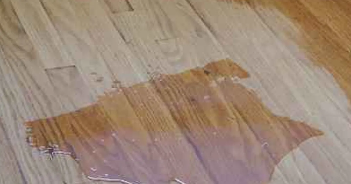 small pool of spilled candle wax on a honey-toned hardwood floor