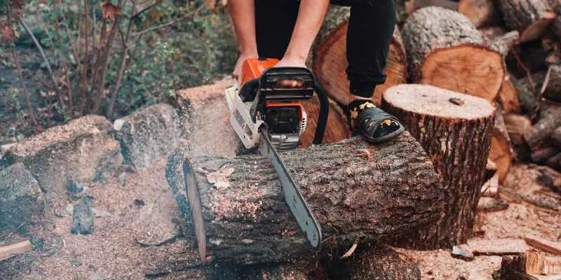 Person cutting through a large log outdoors with a gas chainsaw, sawdust visible