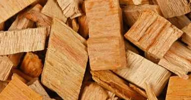 Pine wood chips in a pile, illustrating why pine is unsafe for smoking meat