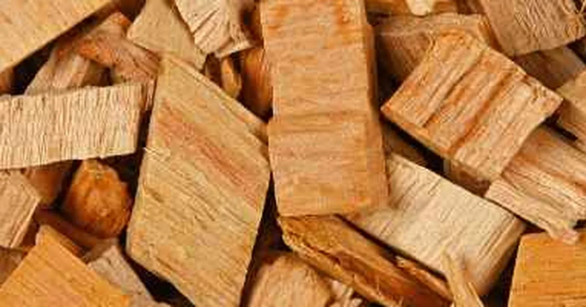 Pine wood chips in a pile, illustrating why pine is unsafe for smoking meat