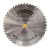 Forrest Woodworker II 10-Inch 40 Tooth saw blade