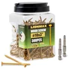 LIONMAX 3 inch exterior deck screws