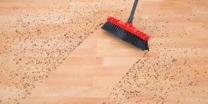 broom sweeping debris and dirt off a laminate floor