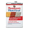 Thompson's WaterSeal clear multi-surface waterproofer
