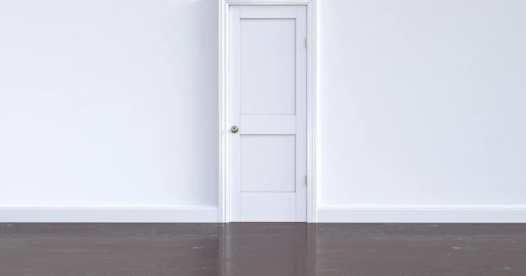 White paneled interior door with white casing and baseboard trim on a dark wood floor