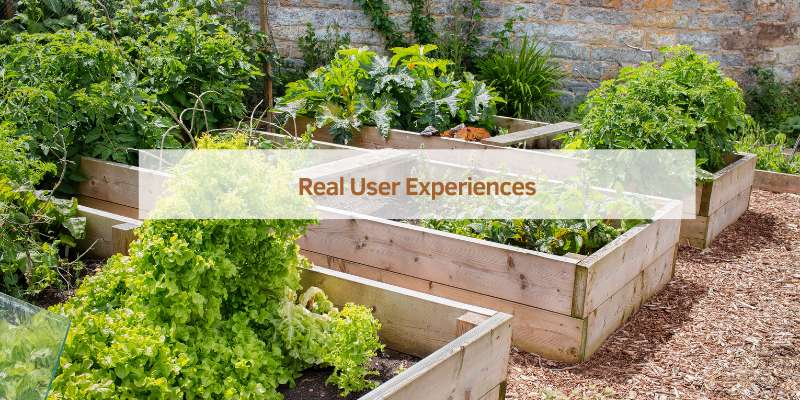 Real User Experiences