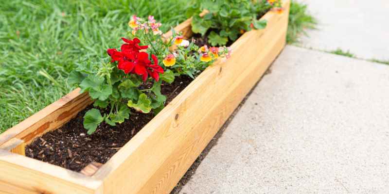 Ground Contact Pressure Treated Wood