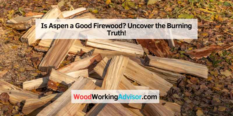Is Aspen a Good Firewood