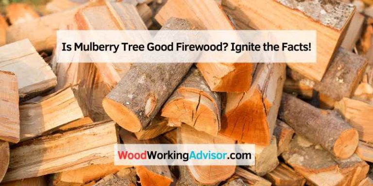 Is Mulberry Tree Good Firewood