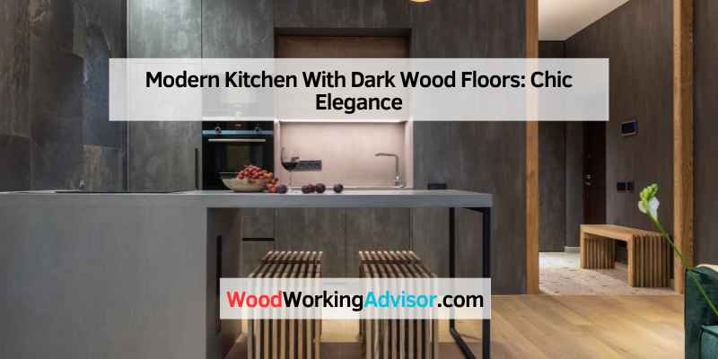 Modern Kitchen With Dark Wood Floors