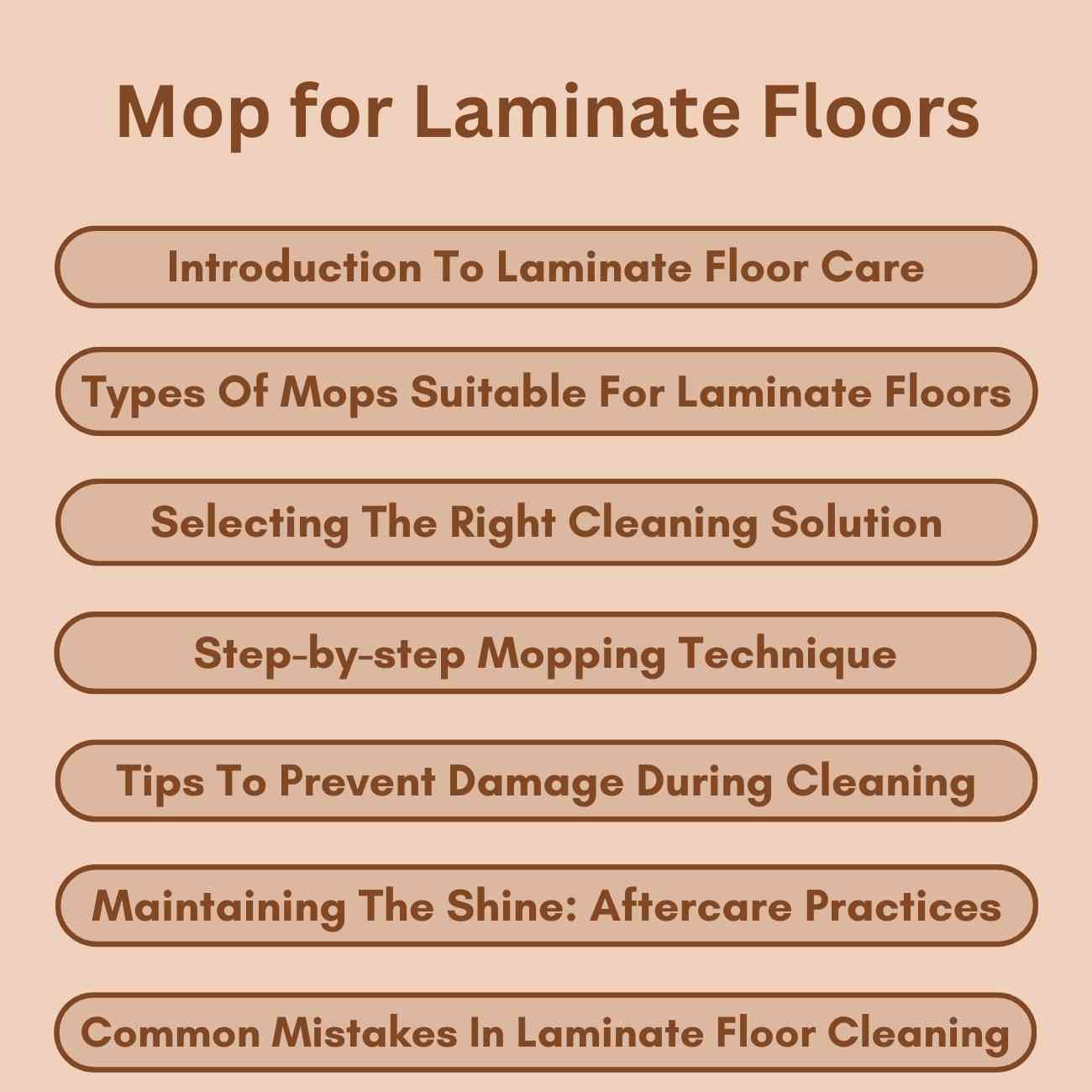 Mop for Laminate Floors