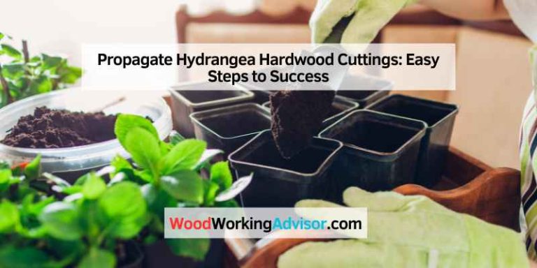 Propagate Hydrangea Hardwood Cuttings