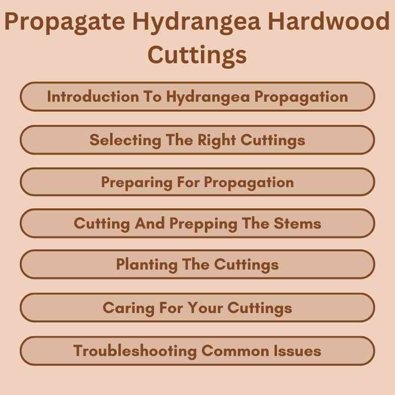 Propagate Hydrangea Hardwood Cuttings
