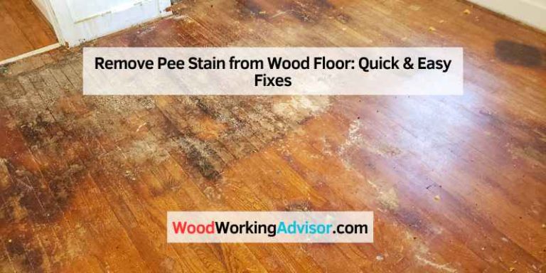 Remove Pee Stain from Wood Floor