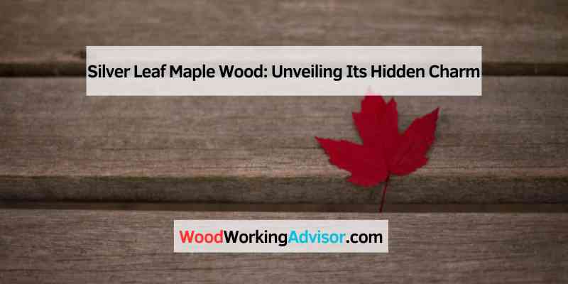 Silver Leaf Maple Wood