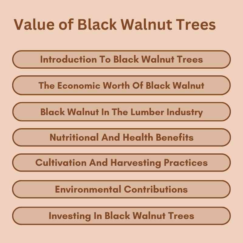 Value of Black Walnut Trees