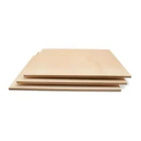 Baltic Birch Plywood, 3/4″ (24″×24″), B/BB Grade, Best for DIY & Portable Table Builds