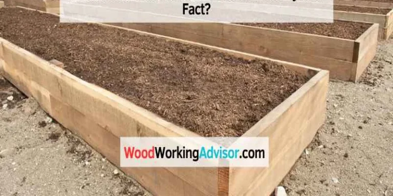 Raised garden beds built from pressure treated wood