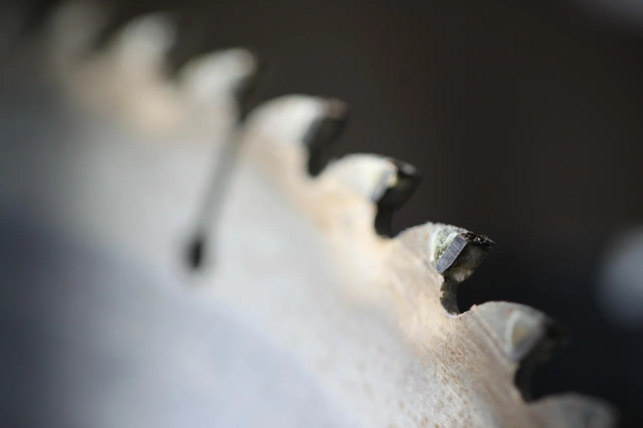 Close-up of circular saw blade carbide teeth showing tooth set and blade thickness