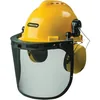 Oregon chainsaw safety helmet with mesh visor and ear muffs