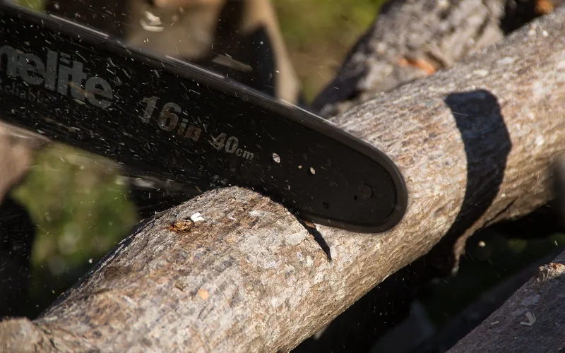 cordless chainsaw cutting through a tree branch outdoors cordless chainsaw cutting through a tree branch outdoors