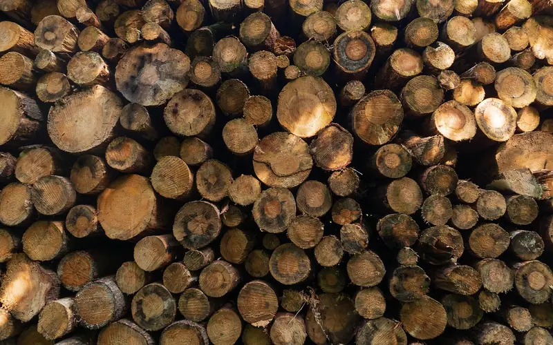 Stacked rough-sawn lumber boards at a lumberyard sorted by width before a board-foot tally