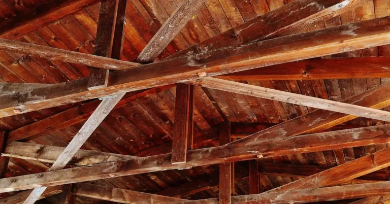 Exposed timber roof beams and rafters carrying a roof load