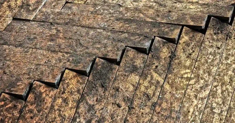 cupped and buckled hardwood floorboards showing water damage warping pattern