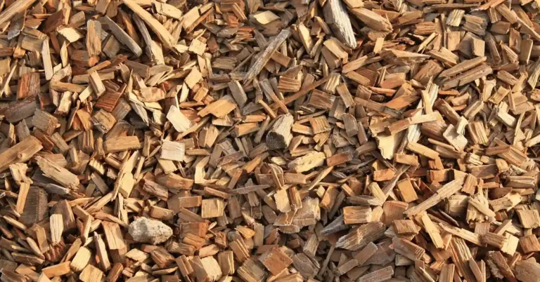 close-up pile of raw wood smoking chips, mixed sizes, natural light