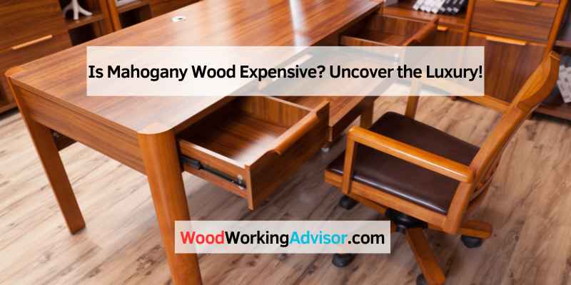 Is Mahogany Wood Expensive