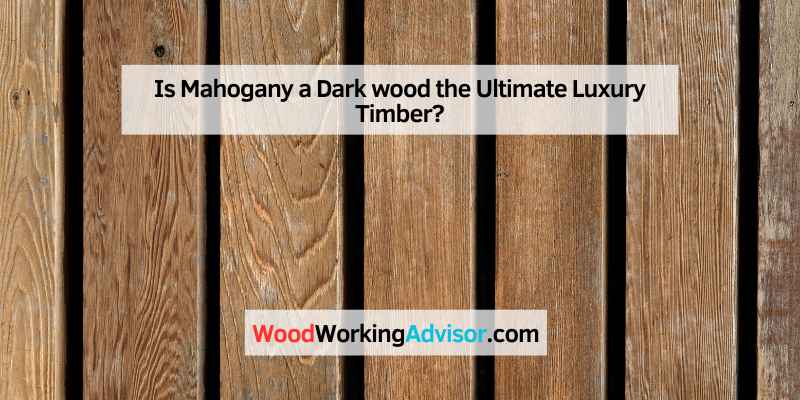 Is Mahogany a Dark wood the Ultimate Luxury Timber