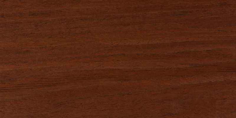 Mahogany Wood Identification